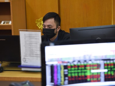 Nhóm cổ phiếu xuất khẩu đang dần thu hút sự chú ý của giới đầu tư